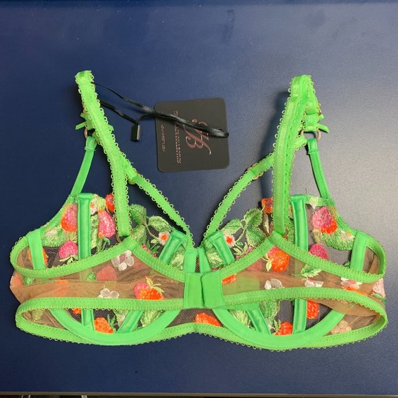 NWT Honey Birdette Lottie Lace Bra - Picture 7 of 14